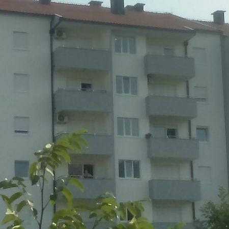Apartman Pazin Trebin Dış mekan fotoğraf